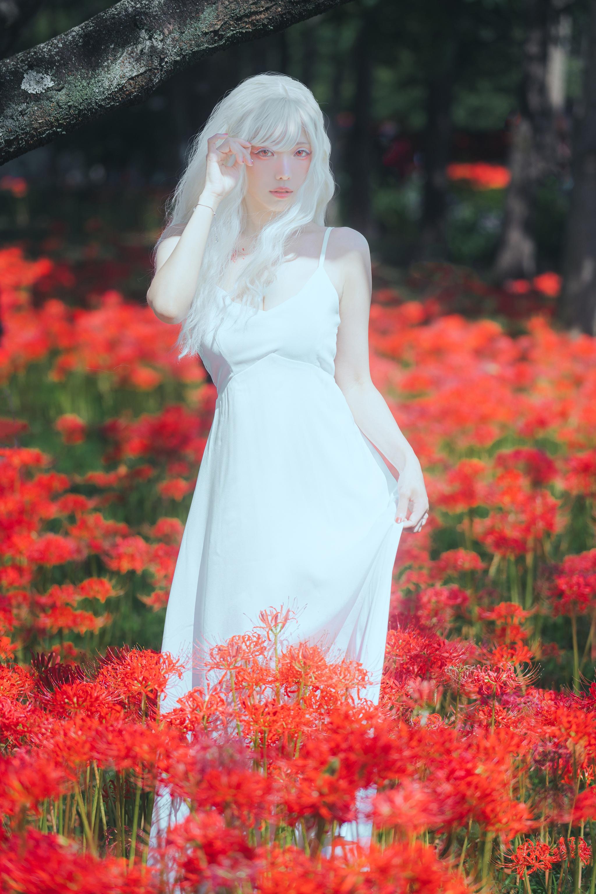 ElyEE子 – NO.129 23年10月订阅-B-White spider lily 白瓷彼岸 [27P]插图